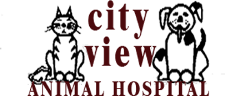 City View Animal Hospital Home